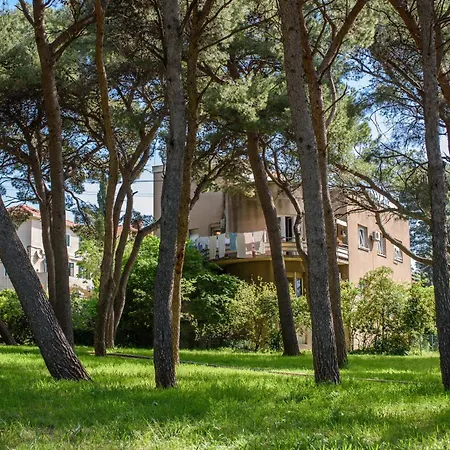 Panzió Location Split