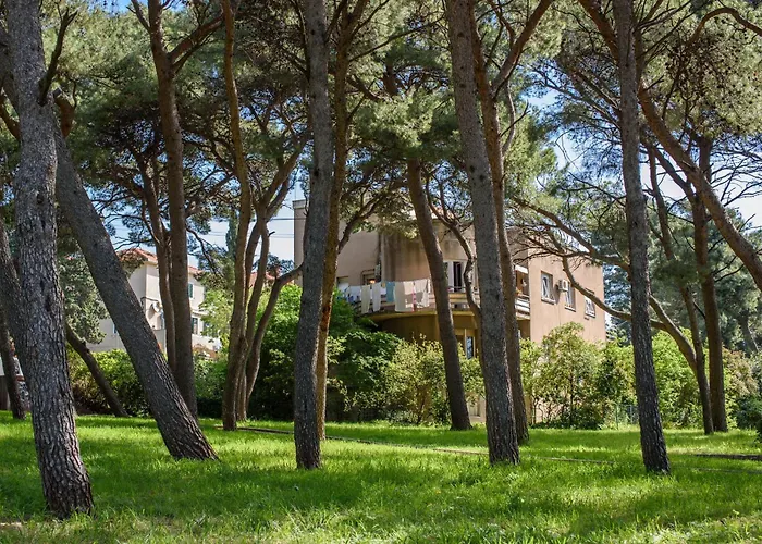 Panzió Location Split